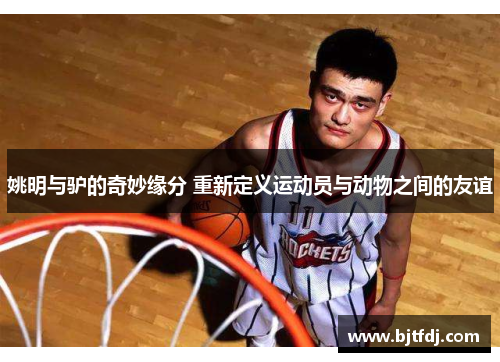 姚明与驴的奇妙缘分 重新定义运动员与动物之间的友谊