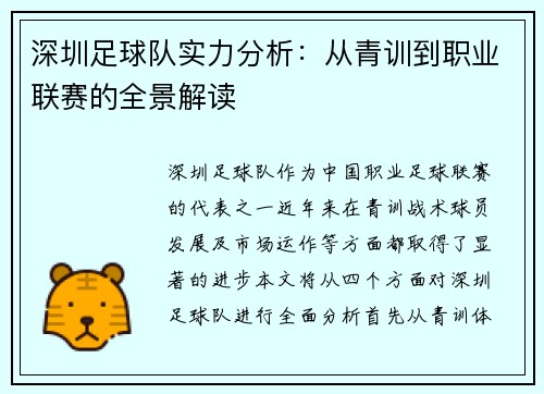 深圳足球队实力分析：从青训到职业联赛的全景解读
